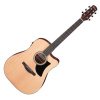 Ibanez AAD50CE-LG elektro akustická gitara