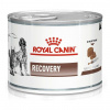 Royal Canin VD Feline Canine Recovery 195 g