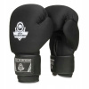 Boxerské rukavice DBX BUSHIDO DBX-B-W 10 oz