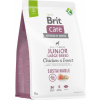 Granule Brit Care Dog Sustainable Junior Large Breed, 3 kg