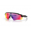 Oakley Radar EV Path matná čierna/prizm road