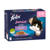 Felix Fantastic Junior hovädzie kura sardinky losos v želé 12 x 85 g