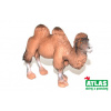 Atlas C Velbloud 11cm
