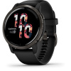 Garmin Venu2 Slate/Black Band 010-02430-11