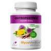MycoMedica Ostropestřec 90 kapslí