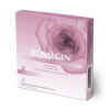 ROSALGIN 500 mg 6 vrecúčok - Rosalgin gro.vag.6 x 500 mg