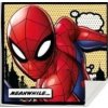 EUROSWAN Marvel kouzelný ručník Spider-Man / Avengers 30 × 30 cm DESIGN: SPIDERMAN