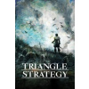 Triangle Strategy