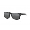 Oakley Holbrook lesklá čierna/prizm čierna