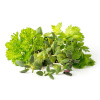 Click and Grow Smart Garden sazenice mix steak&grill PCW-006