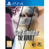 Goat Simulator The Bundle Sony PlayStation 4 (PS4)