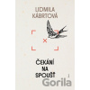 Čekání na spoušť - Lidmila Kábrtová