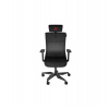 Genesis ergonomické herní křeslo ASTAT 700 černé (NFG-1945)