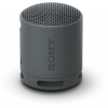 Bluetooth reproduktor Sony SRS-XB100 čierna (SRSXB100B.CE7)