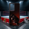 Profesionálny Wrestling - CM Punk x Roman Reigns x Seth Rollins - Google Pixel / Huawei obal