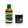 Kaštanovník - bylinné kapky (tinktura) 50 ml - doplněk stravy
