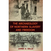 The Archaeology of Northern Slavery and Freedom (Delle James A.)