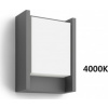 Philips Massive 16460/93 / P3