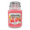 Yankee candle Svíčka vonná sklo FIZZY FRUIT PUNCH 538g (hoří 130hod)