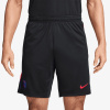 Nike PSG Strike S