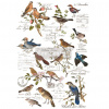 Transfér na nábytok Postal Birds
