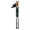 Nordic Walking poles Elbrus Cliogo 92800350260 (189427) Black N/A