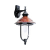 Top light Neapol D