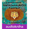 Fantazmagorický kamarát - Alexandra Salmela