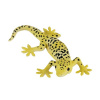 Mojo Gekon leopardí