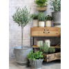 Chic Antique 2ks okrúhly plechový zinkový antik obal na kvetináč Planters - Ø 36*36/ Ø 31*30cm - Chic Antique