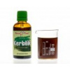 Kerblík - bylinné kapky (tinktura) 50 ml - doplněk stravy