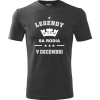 Grafitové tričko Legendy sa rodia v decembri - darček k 50 narodeninám pre mužov M