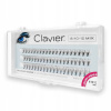 Riasy v trsoch Clavier