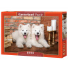 Samoyed Puppies Say Hello (105137)