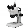 Stereomikroskop BRESSER Analyth STR Trino 10–40× + MikrOkular Full HD