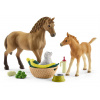 SCHLEICH Horse Club® 42432 Set hříbě a Quarter kůň se štěňátkem a doplňky