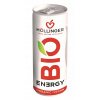 Nápoj Hollinger 250 ml