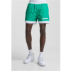 Starter Retro Shorts - c.green L