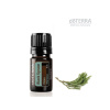 doTerra Black Spruce 5 ml