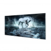 Obrázok akrylové sklo les Unicorn Moon 140x70 (Maľba akrylovým sklom, les, jednorožec, mesiac, 140x70)