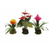 Lucky Reptile Jungle Plants kvitnúce Závesná orchidea - biela cca 20x30 cm