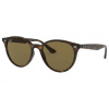 Ray-Ban RB4305 710/73