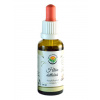 Salvia Paradise Hlíva ústřičná AF tinktura 30 ml