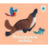Poznávej dotykem Podivuhodná zvířata - Pascale Hédelin