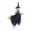 Lietajúca čarodejnica na Halloween X5898