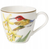 Villeroy & Boch Villeroy & Boch Amazonia Anmut espresso šálka 100 ml