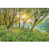 Komar Papierová fototapeta Spring Lake, rozměry 368 x 254 cm