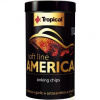 Tropical Soft Line America Size L tin 100 ml / 52g