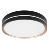 GLOBO 41759-24 MANNI stropné svietidlo 1xLED 24W