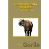 Obdivuhodná zvířata VI. - Sudokopytníci - Vojtěch Škaloud